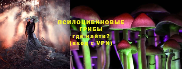 таблы Няндома