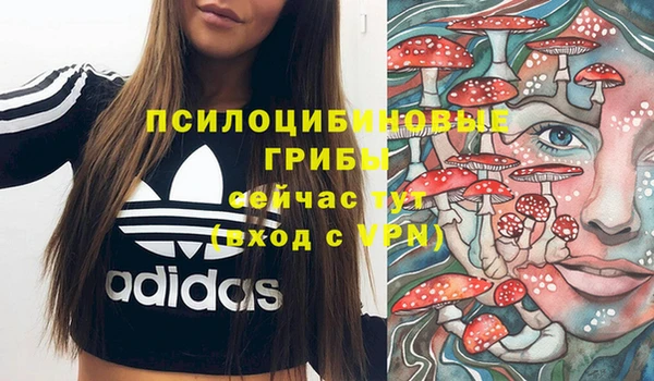 эйфоретик Абдулино