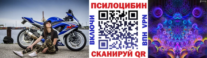 Псилоцибиновые грибы GOLDEN TEACHER  наркошоп  МЕГА вход  Миллерово 